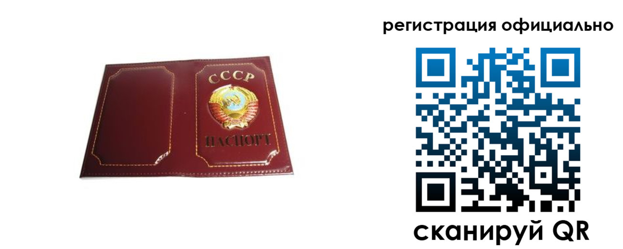 прописка в Александровске